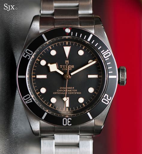 tudor black bay black rose